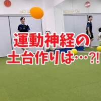画像368