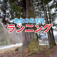 画像494