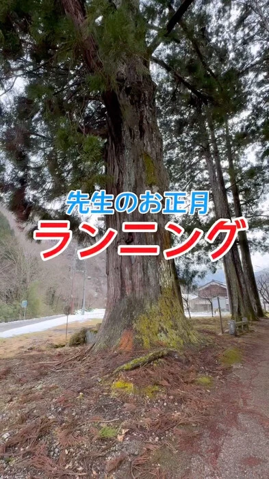 画像494