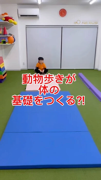 画像498